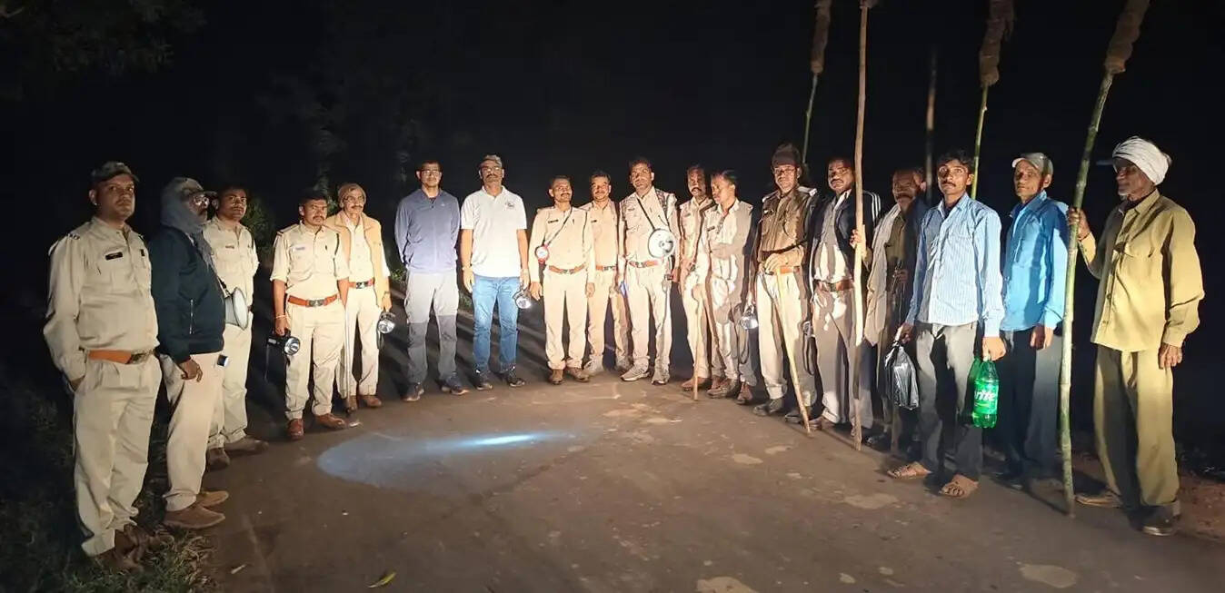 शहडोल: हाथियों के कारण 10 घंटे में दो बार रूका सडक यातायात, ब्यौहारी में 30 से ज्यादा हाथियों ने बढ़ाई चिंता