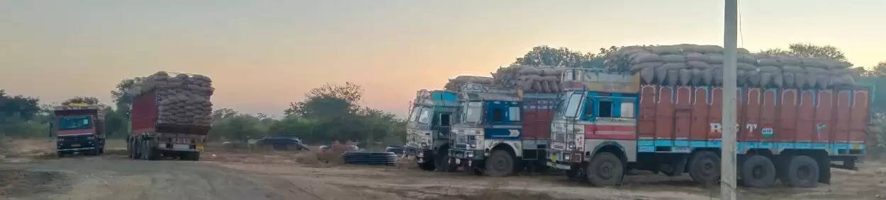 अनूपपुर: यमराज बने ओवरलोड ट्रक, ओवरलोड धान परिवहन कर रहे ट्रक