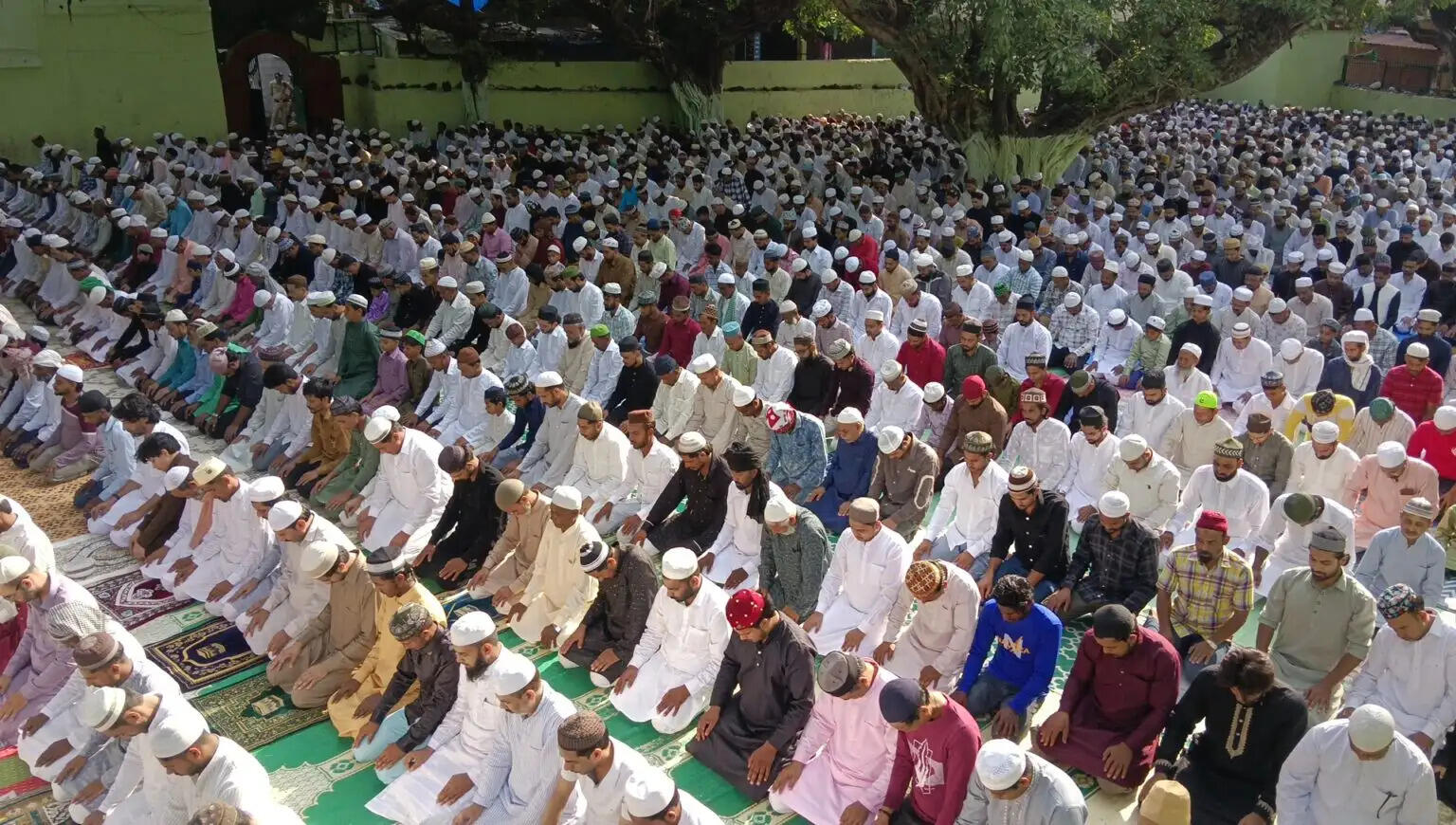 हर्षोल्लास से मनाई बकरीद मस्जिदों में अदा की गई नमाज