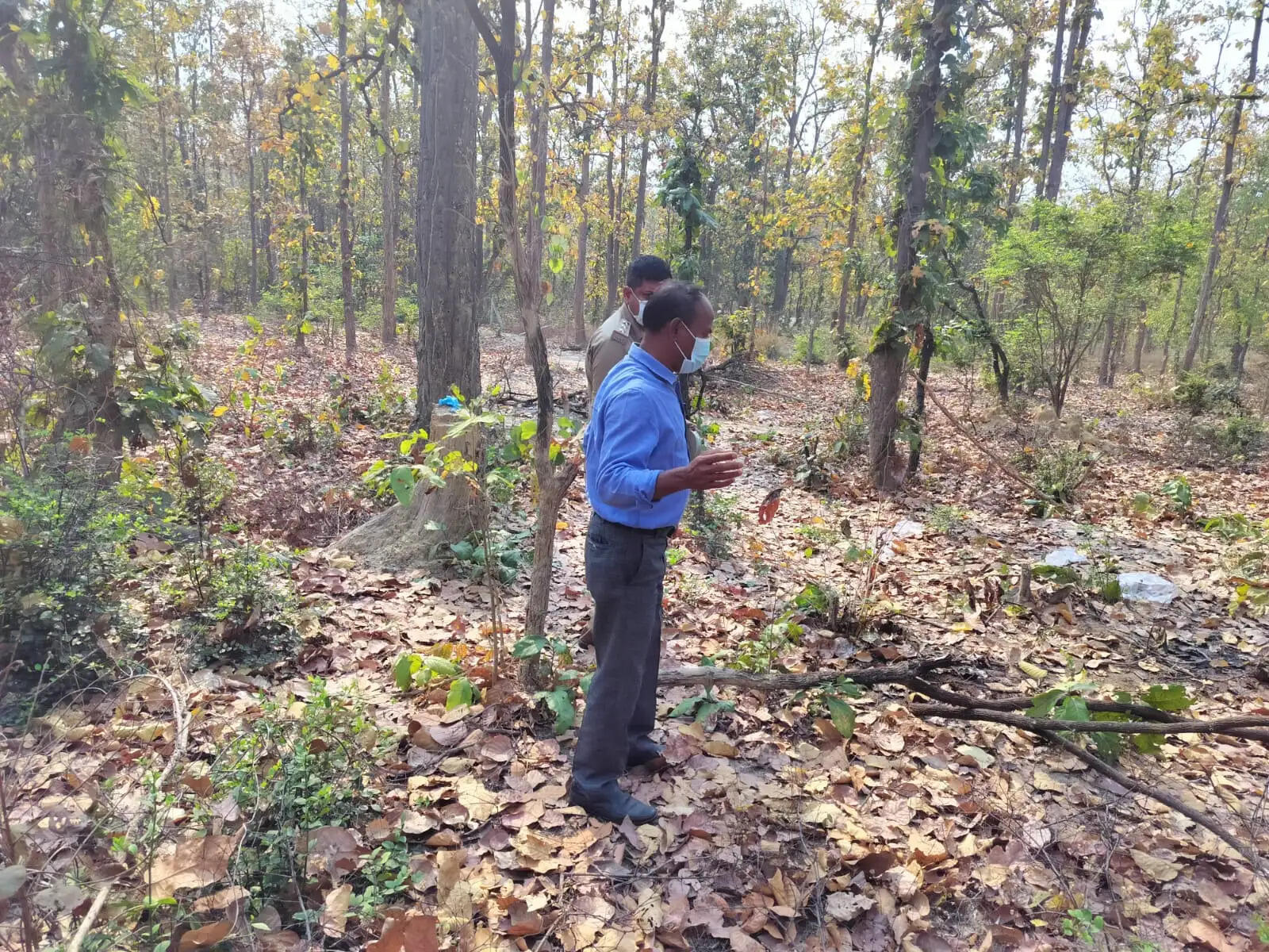 बलरामपुर: मानसिक रूप से विक्षिप्त लापता महिला का जंगल में मिला शव, जांच में जुटी पुलिस