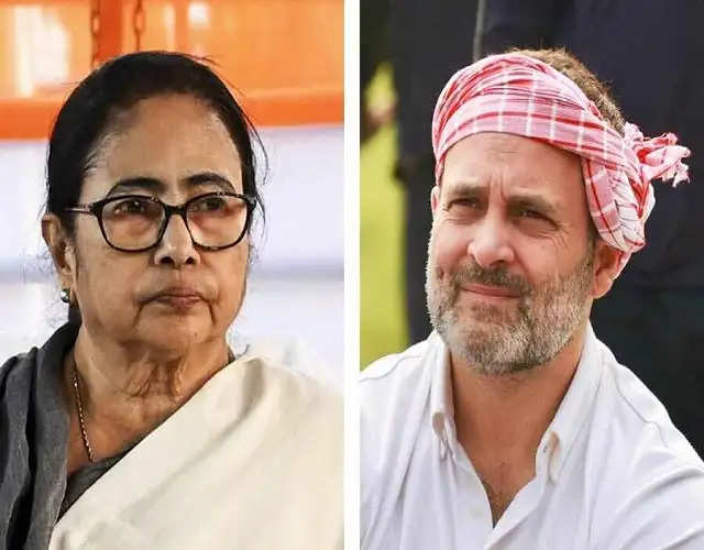 ममता ने उड़ाया राहुल गांधी का मजाक, कहा- शिशु क्या होता है जानते हो