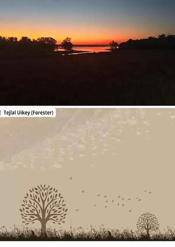 सिवनीः पेंच टाइगर रिजर्व में गोधूलि बेला का मनमोहक दृश्य कैमरे में कैद