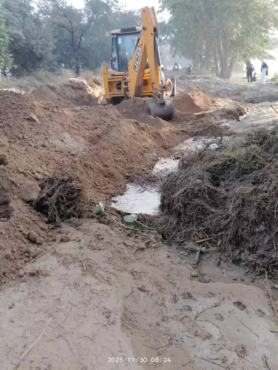 सिरसा: खेड़ी माइनर टूटने से गेहूं व सरसों की फसल जलमग्न