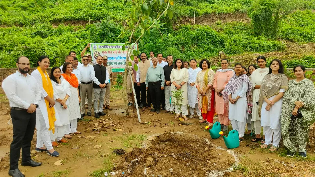 एक पेड़ मां के नाम अभियान: अलवर के नगर वन में न्यायिक अधिकारियों ने किया पौधारोपण