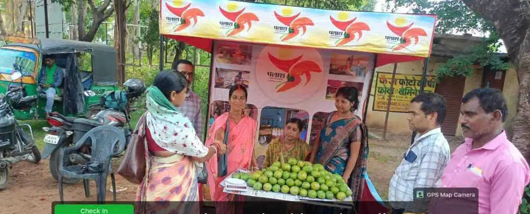 बिरसा हरित ग्राम योजना के तहत आमों की बिक्री, किसानों को मिला सीधा लाभ
