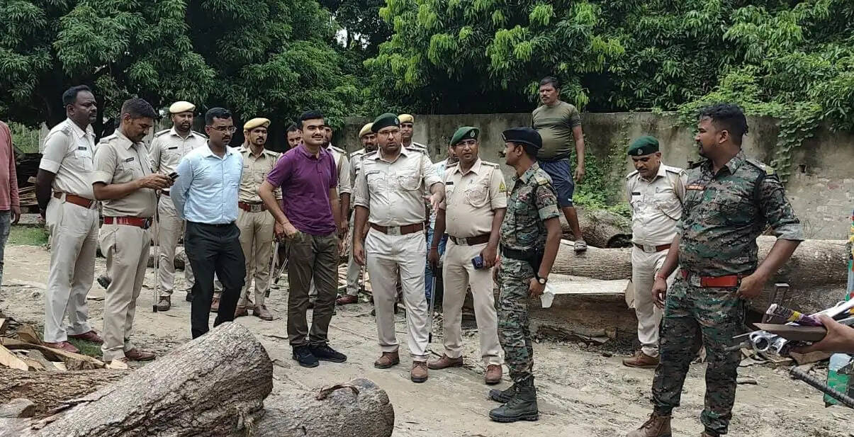 बिहपुर में तीन अवैध आरा मिलें सील, कीमती लकड़ियां और मशीनें जब्त