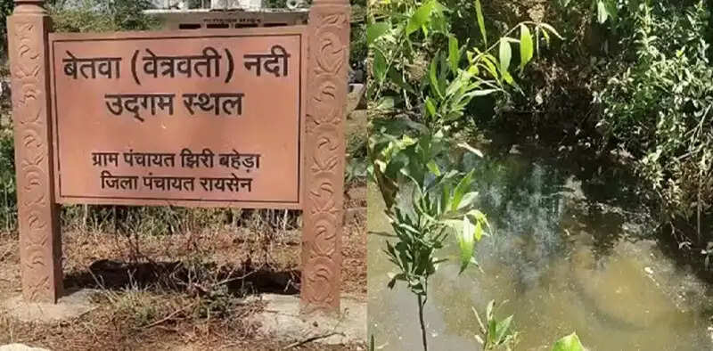 भोपाल: बेतवा नदी को पुनर्जीवित करने मुहिम शुरू, झिरी में जुटे विशेषज्ञ और प्रकृति प्रेमी