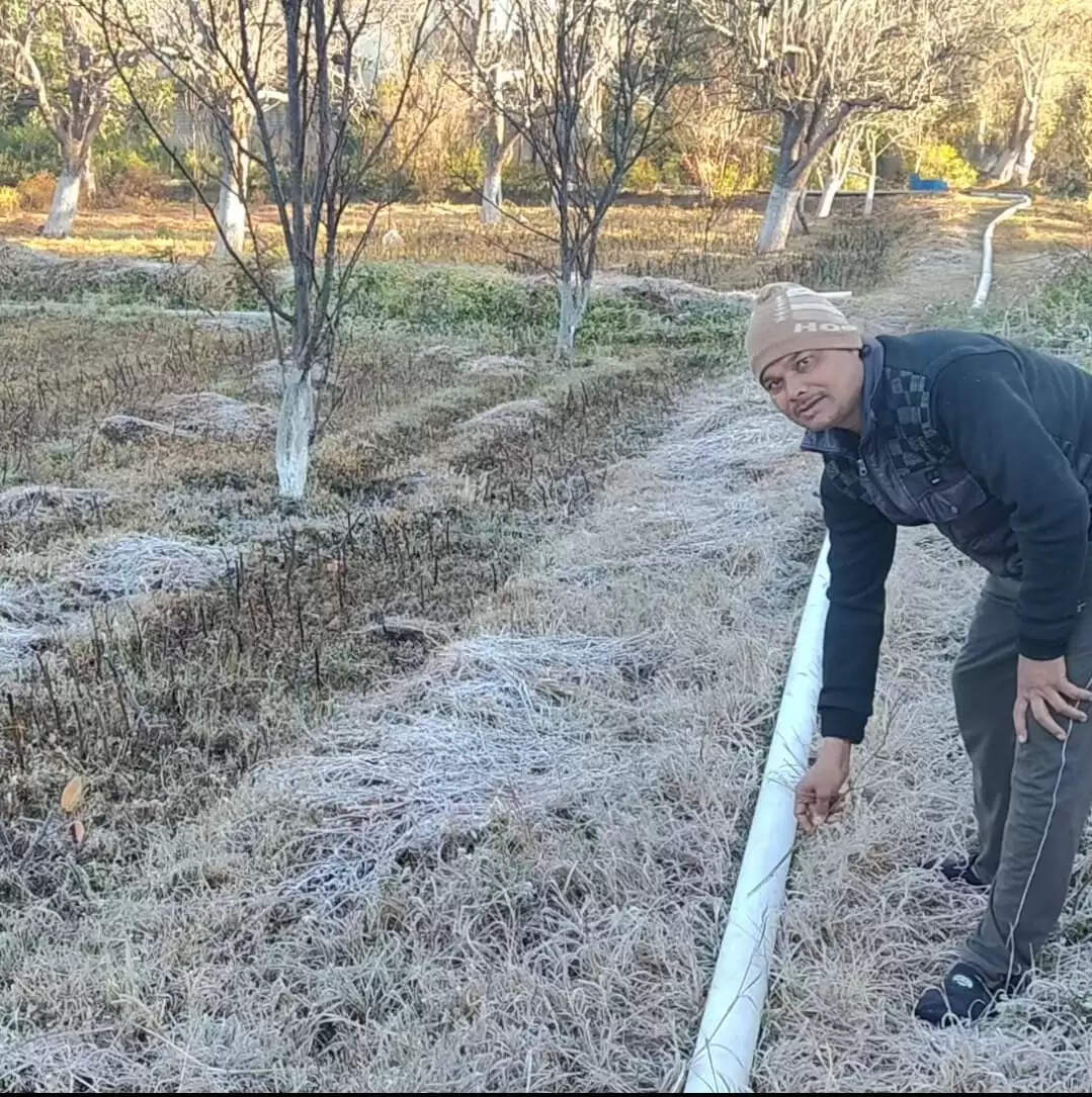 अनूपपुर: अमरकंटक में कड़ाके की ठंड, ओस की बूंदों से जमी बर्फ की चादर