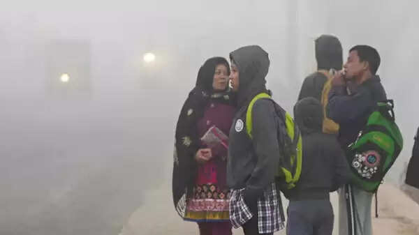 मध्‍य प्रदेश में ठंड का दौर जारी, भोपाल-इंदौर में रात का पारा 9 डिग्री से नीचे, दो दिन बाद और बढ़ेगी सर्दी