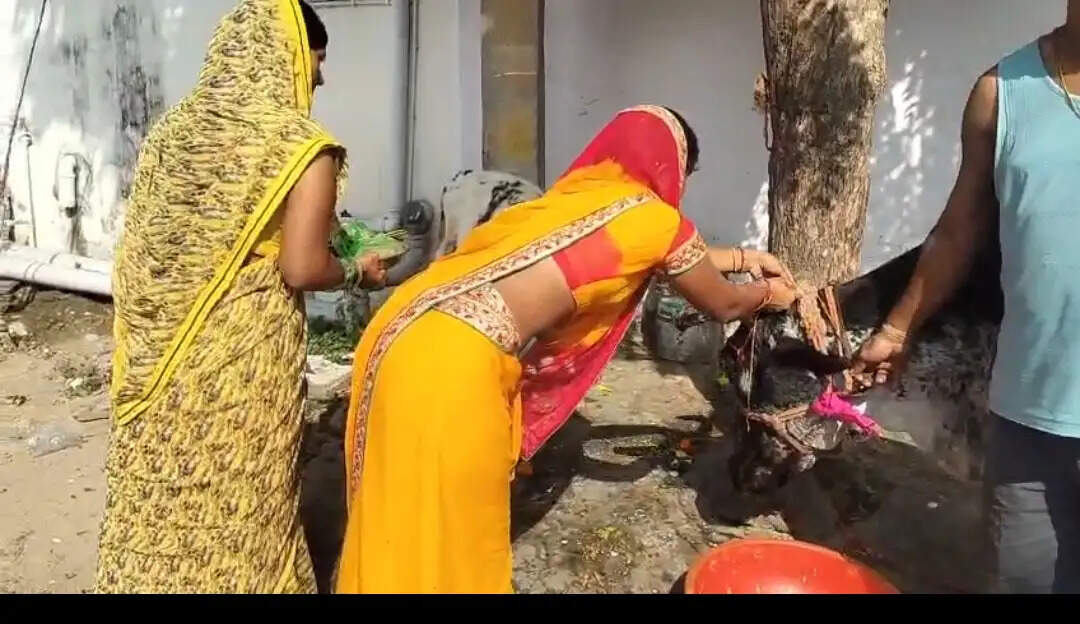 वत्स द्वादशी पर गोमाता की पूजा कर माताओं ने मांगी संतान की खुशहाली