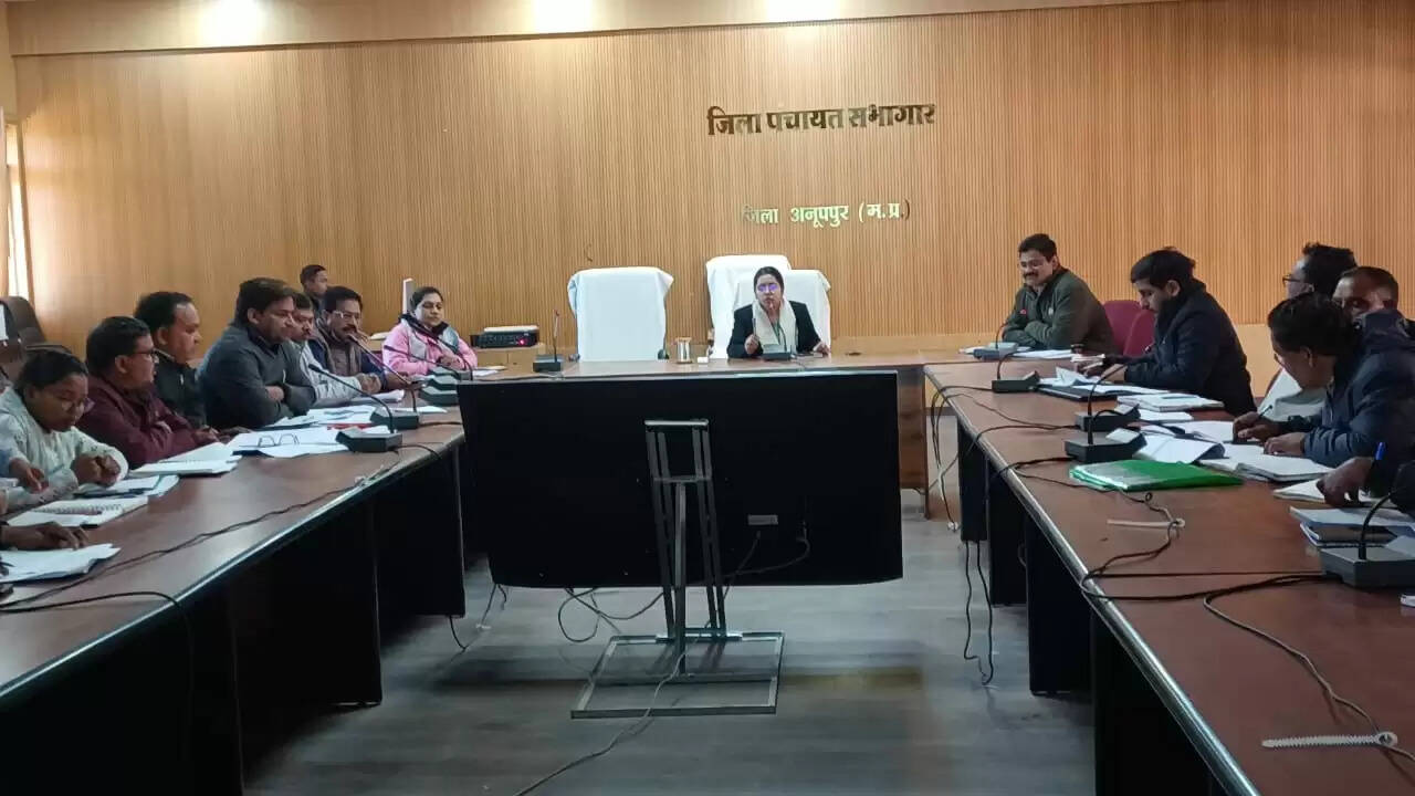 अनूपपुर: प्रधानमंत्री आवास पूर्णता के लिए चालू निर्माण कार्य का लगातार फॉलो अप करें- जिला पंचायत सीईओ