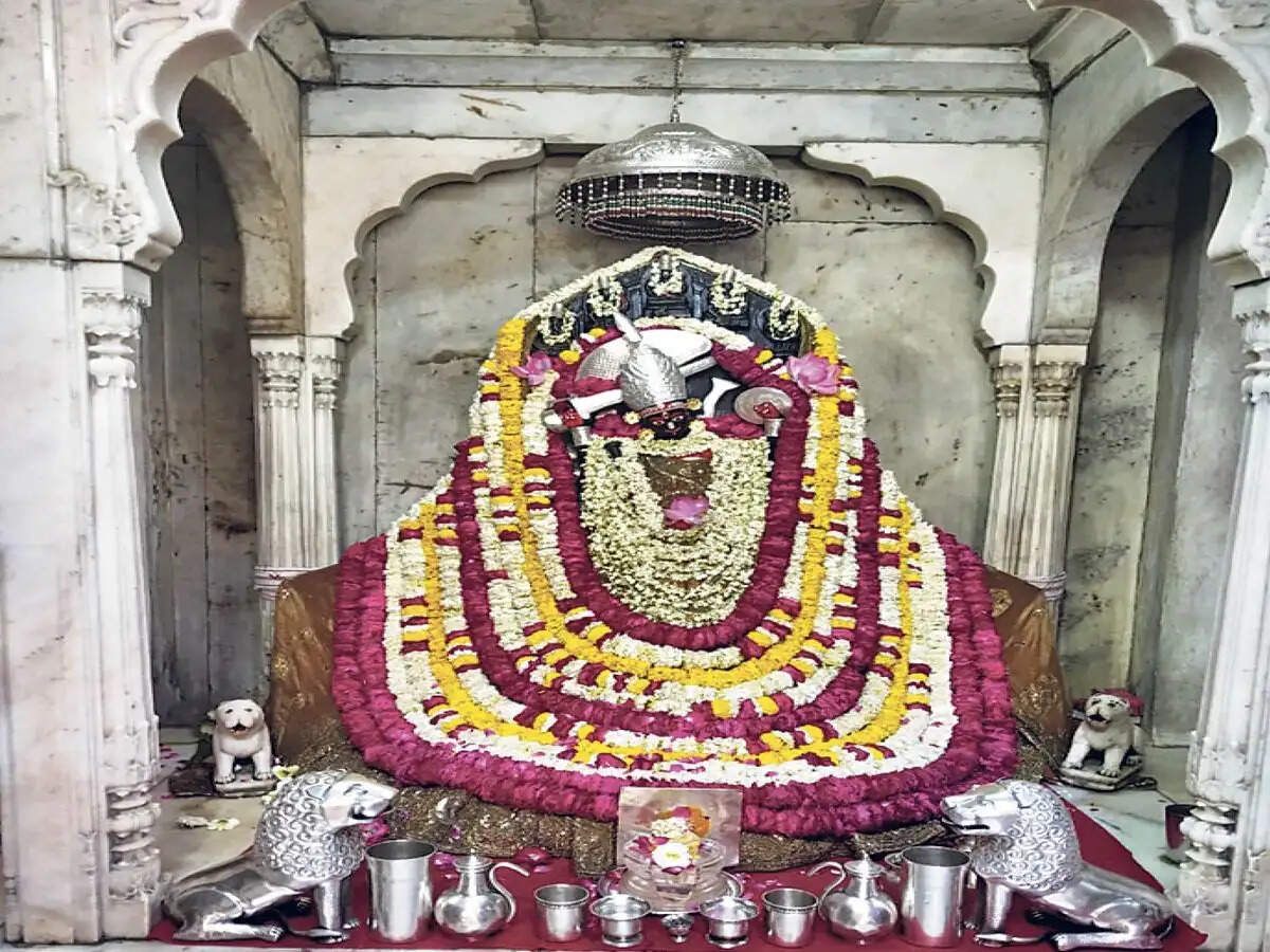 शारदीय नवरात्र&nbsp;11 अक्टूबर से&nbsp;: हाथी पर सवार होकर आएंगी मां दुर्गा