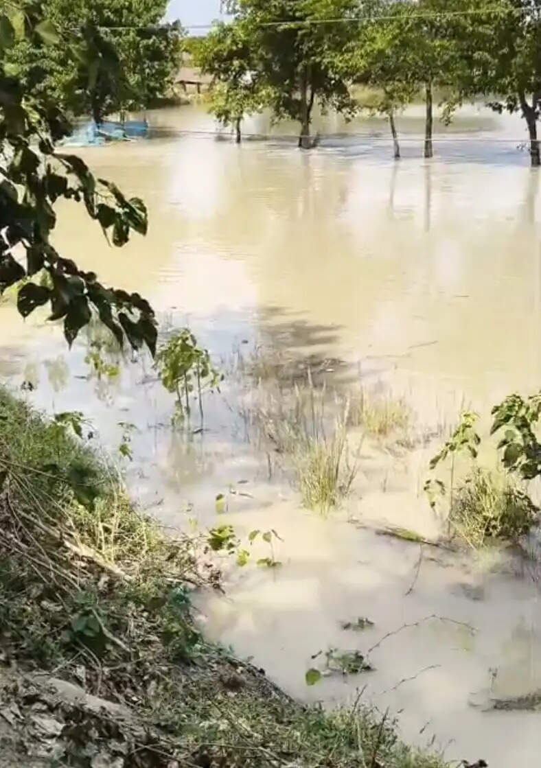 गंडक के बढ़ते जलस्तर पर सारण जिला प्रशासन अलर्ट