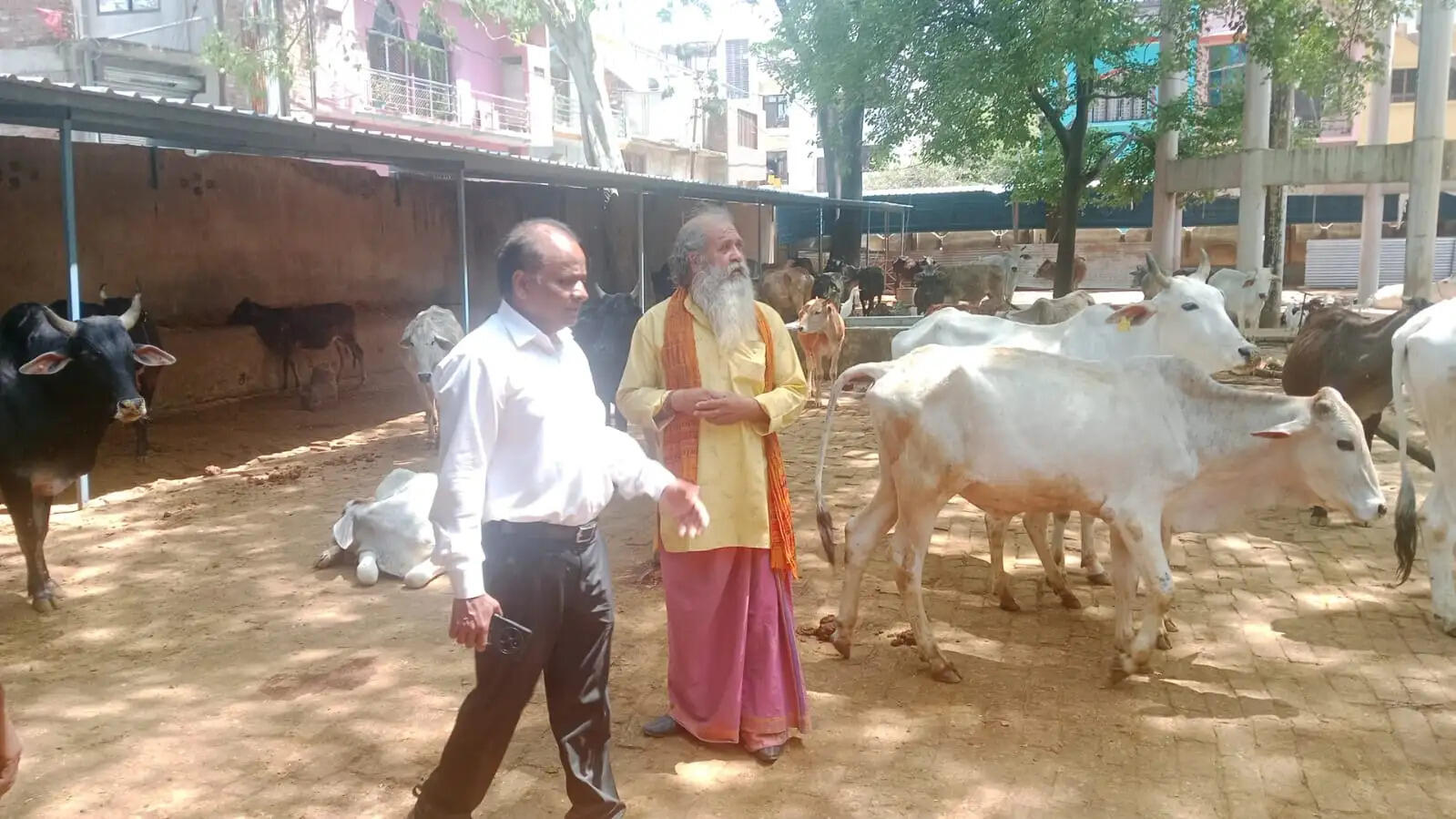 डीएम के निर्देश पर उप जिलाधिकारी ने गौशालाओं का किया निरीक्षण, व्यवस्थाओं को लेकर दी हिदायत