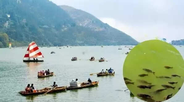 नैनी झील के पारिस्थितिकी तंत्र को सुधारने की पहल