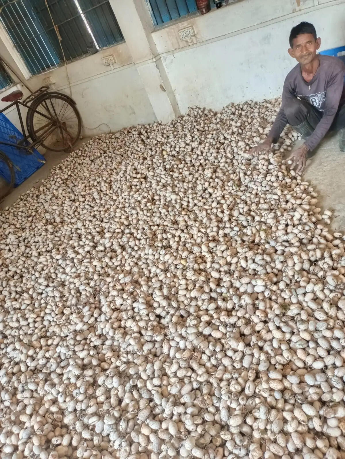 कोरबा : भूमिहीन किसान छेदूराम ने कोसा उत्पादन से अर्जित किए 6.30 लाख रुपये