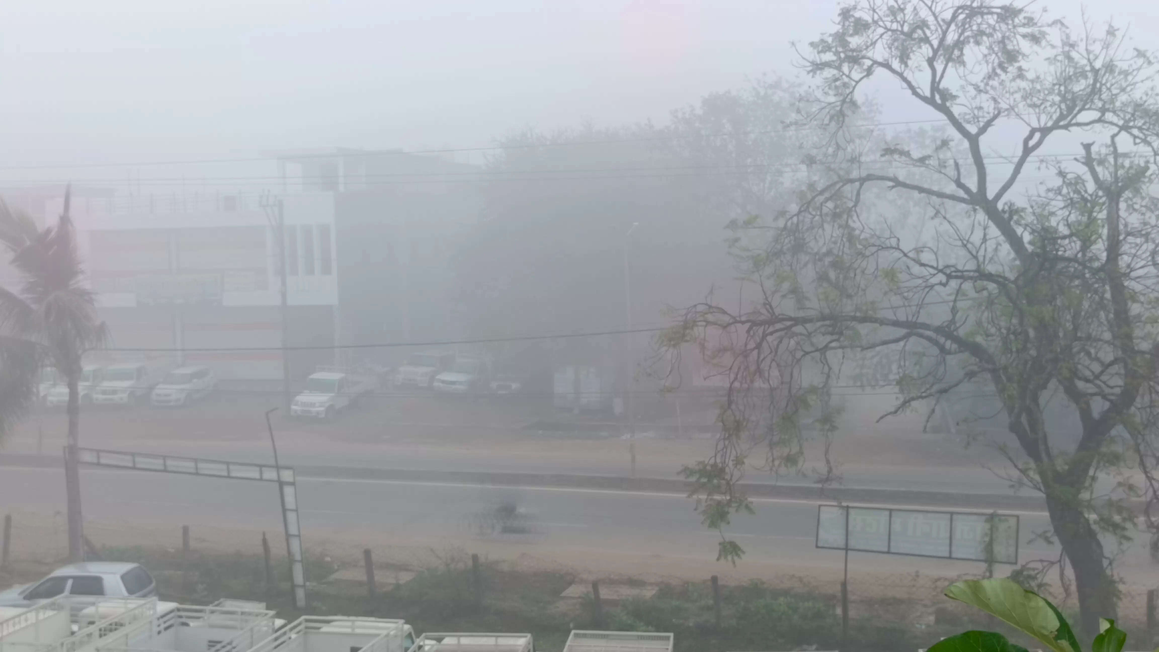 धमतरी : वातावरण में छाया कोहरा, नमी और ओस होने से बढ़ी ठंड