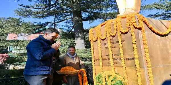 डाॅ. अम्बेदकर का देश निर्माण एवं संचालन में महत्वपूर्ण योगदान : विक्रमादित्य सिंह