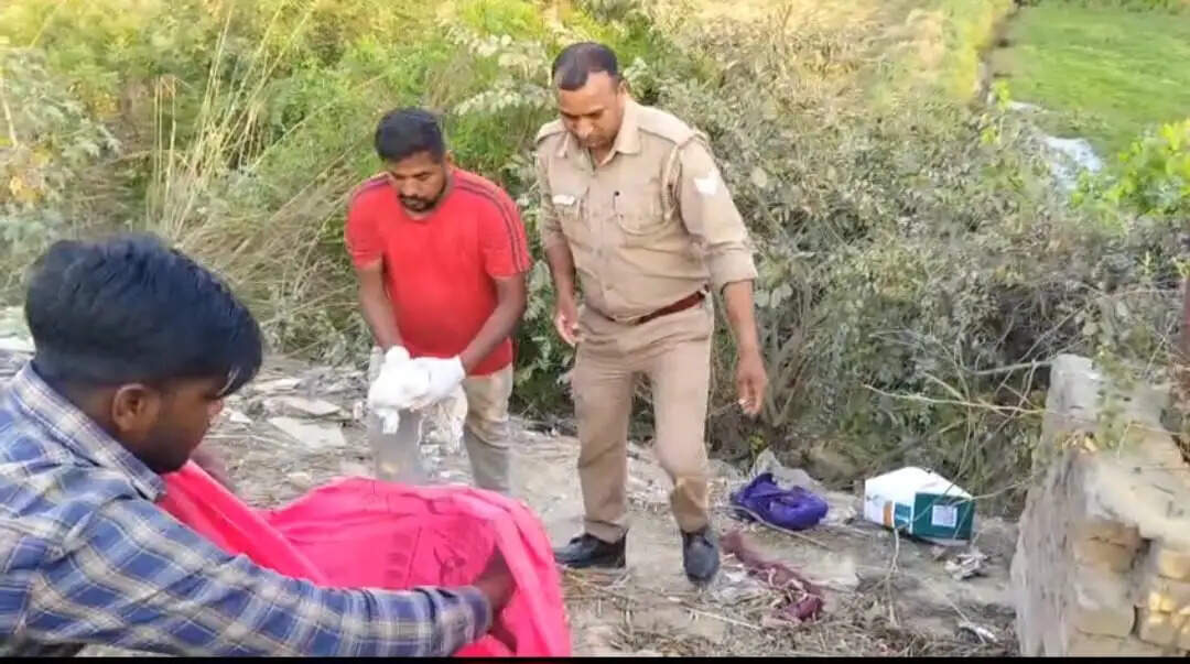 हाईवे किनारे मिली नवजात बच्ची की लाश