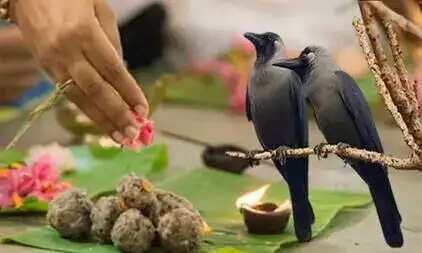 वाराणसी : पितृपक्ष की शुरूआत 26 सितंबर से, पिशाचमोचन कुंड पर कर्मकांडी ब्राम्हणों ने तैयारियां शुरू की