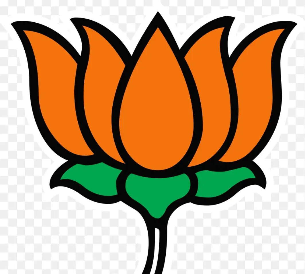प्रशिक्षण महाअभियान से 38 हजार से अधिक भाजपा कार्यकर्ता तैयार: कुंदन परिहार