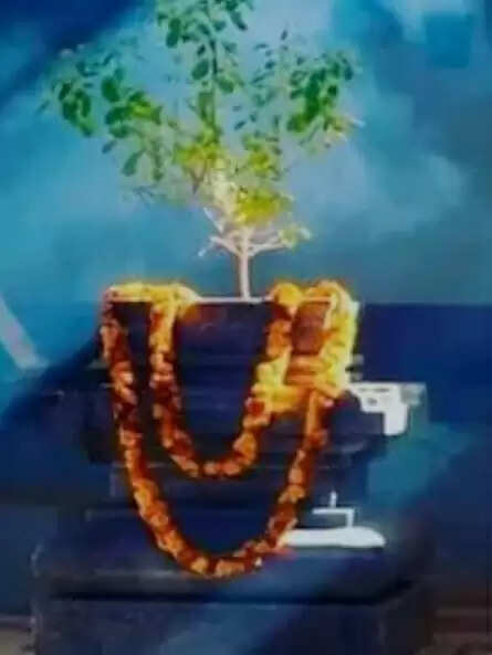 रांची में विश्व तुलसी पूजन दिवस: 20 दिसंबर को वाहन यात्रा से सेवा वितरण