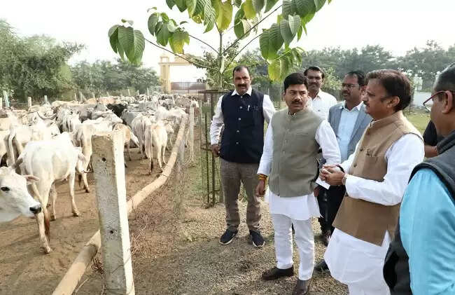 रीवाः बसामन मामा गौअभ्यारण्य में आज गोलोक दर्शन महोत्सव, उप मुख्यमंत्री शुक्ल करेंगे शुभारंभ