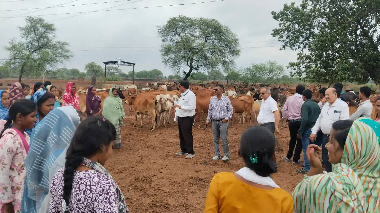 वैज्ञानिक पशुपालन से आत्मनिर्भरता की राह पर बढ़ीं महिला पशुपालक