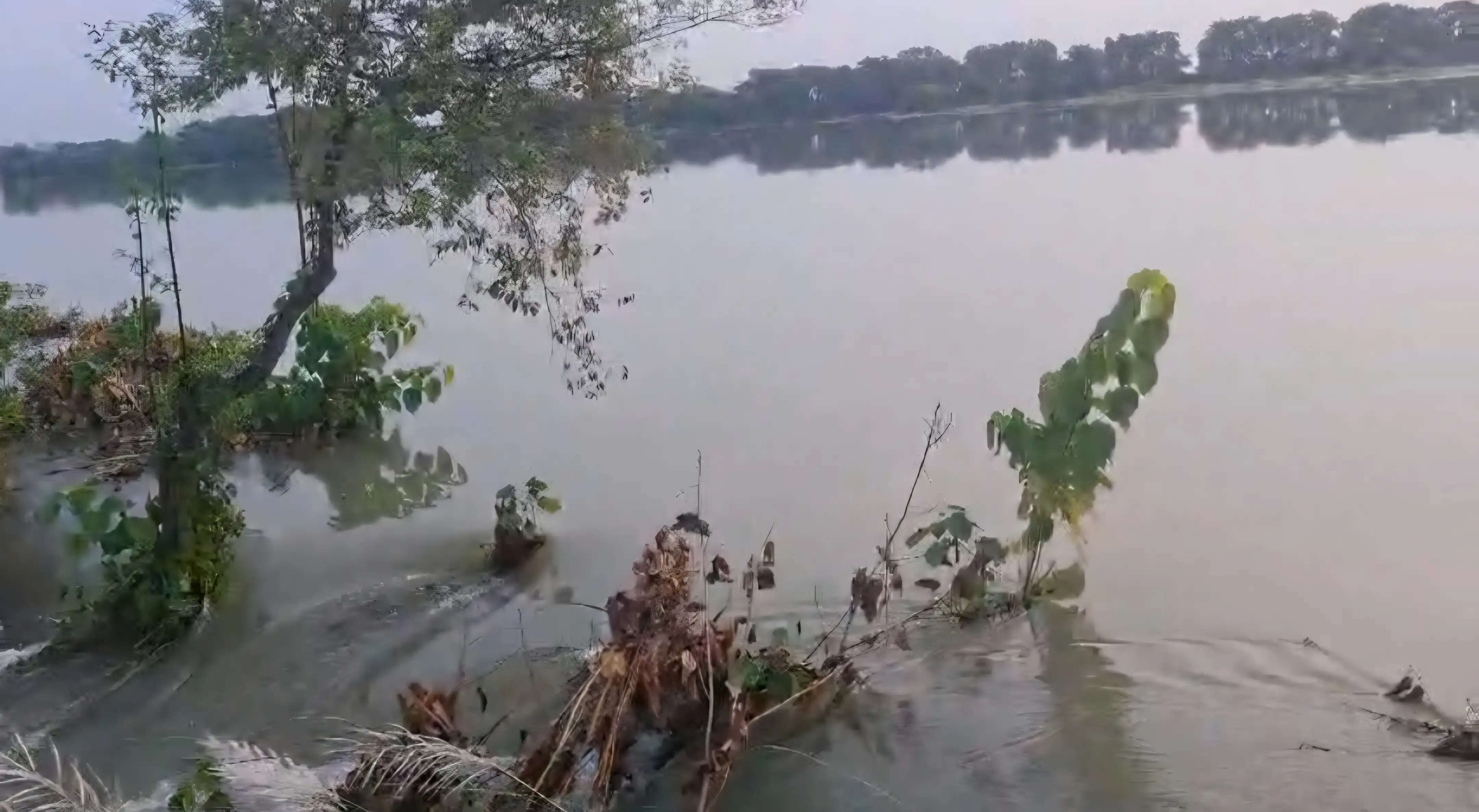 मांझी प्रखंड के चेफूल पंचायत में दहा नदी का बांध टूटा, घरों में घुसा पानी
