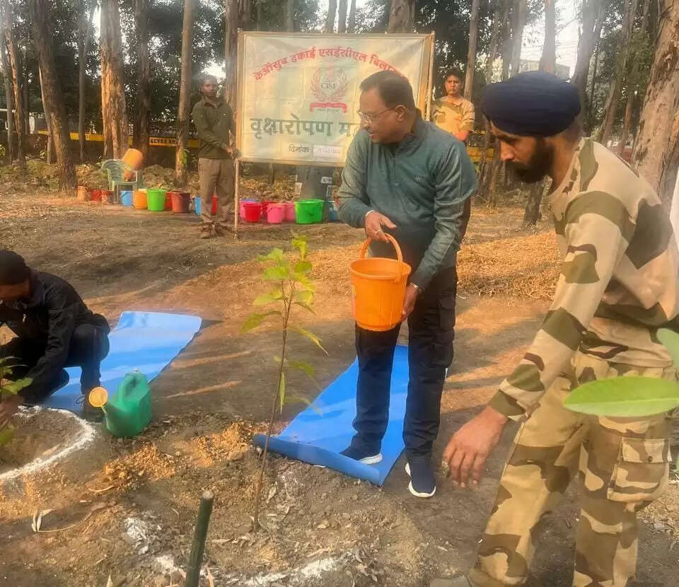कोरबा:नववर्ष 2026 पर सीआईएसएफ का हरित संकल्प, गेवरा में 501 पौधों का हुआ वृक्षारोपण