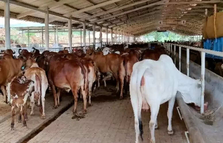 मप्र : पशुपालन एवं पशु कल्याण को लेकर प्रदेश भर में चलेगा एक माह का जागरूकता अभियान