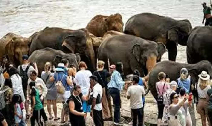 श्रीलंका पहुंचने वाले पर्यटकों में सबसे ज्यादा भारतीय