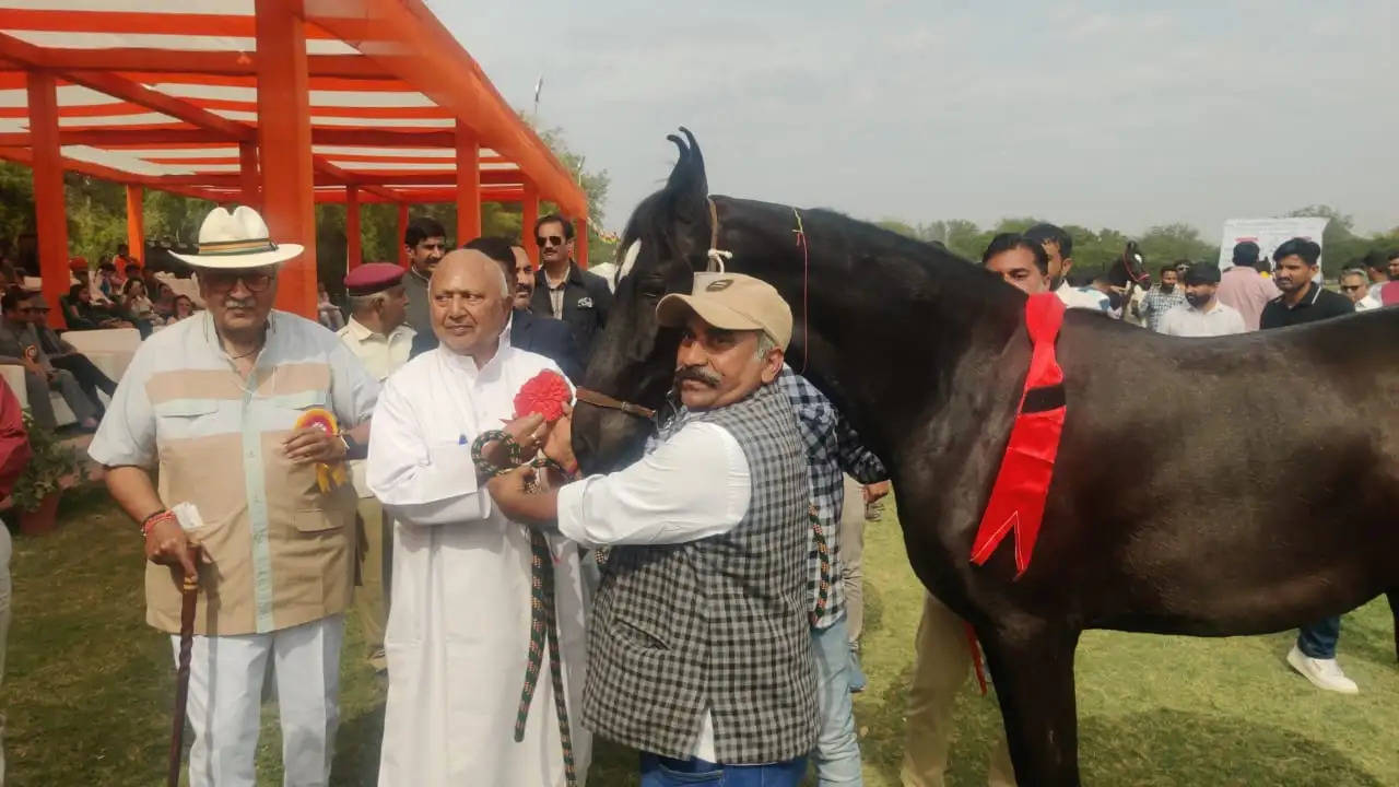 दो दिवसीय राष्ट्रीय मारवाड़ हॉर्स शो का रंगारंग शुभारंभ