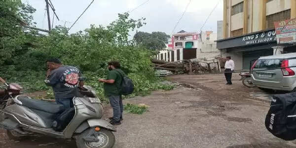 जबलपुर : अचानक बिगड़ा मौसम, तेज अंधड़ के साथ बारिश में पेड़ गिरे