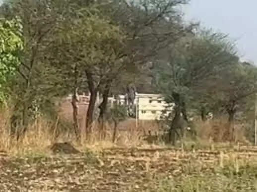 गुना में टेकरी रोड पर मैरिज गार्डन संचालक ने लगाई फांसी,&nbsp;पेड़ से लटका मिला शव