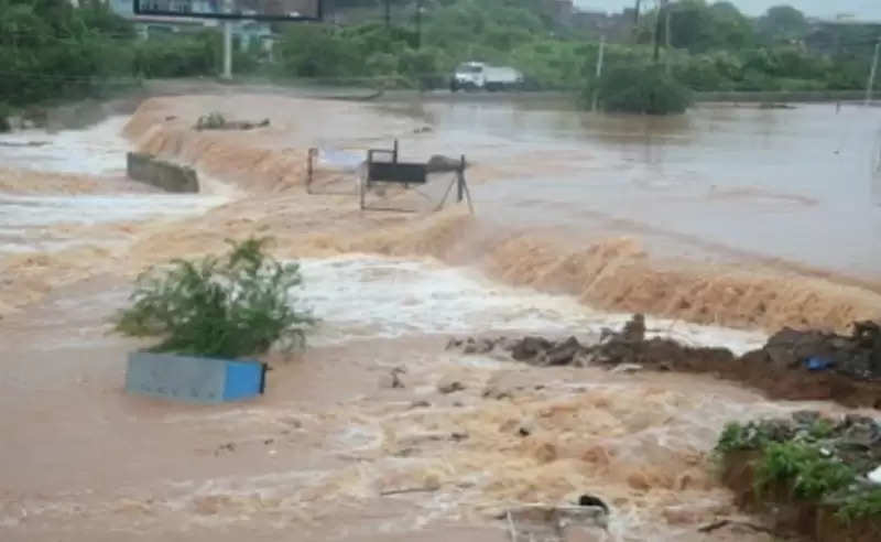 मुरैनाः रपटा पार करते समय ट्रैक्टर के साथ बहे तीन लोग, एक को बचाया, दो की तलाश जारी