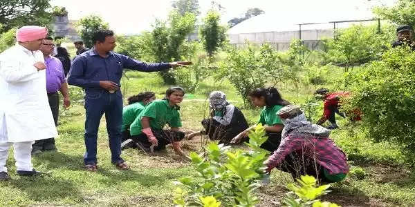 किचन गार्डन से जुड़कर कृषि को बढ़ावा देने के साथ पहाड़ी खेती का करेंगे सशक्तिकरण