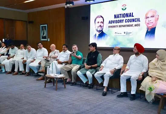 अल्पसंख्यक सलाहकार परिषद की बैठक में शामिल हुए राहुल गांधी, इमरान प्रतापगढ़ी की पहल की सराहना की
