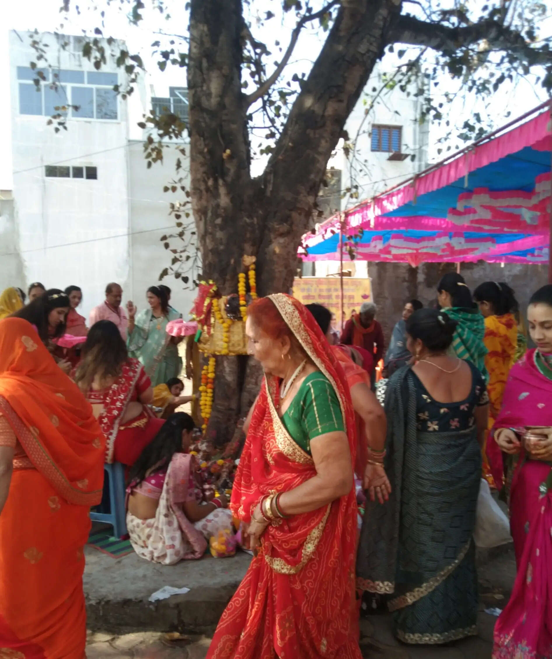 झाबुआ: श्रद्धा और आस्था के साथ मनाया गया दशा माता व्रत, महिलाओं ने पीपल वृक्ष का किया पूजन