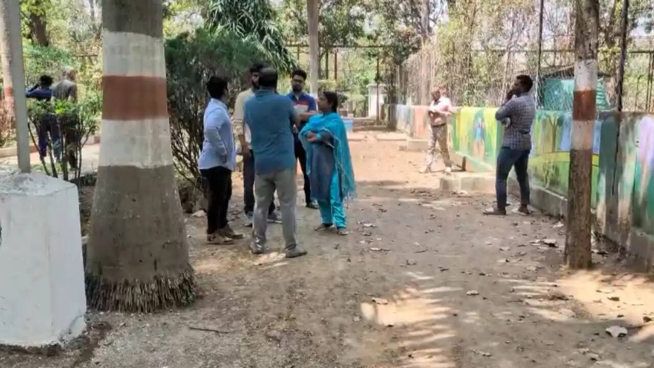 अंबिकापुर : संजय पार्क में कुत्तों के हमले से 15 हिरणों की मौत, 4 कर्मचारी निलंबित