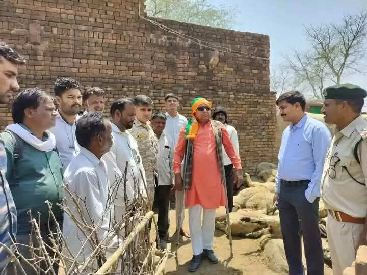 शिवपुरी: भेड़ों के बाड़े में जंगली जानवर का हमला, 30 भेड़ों की मौत