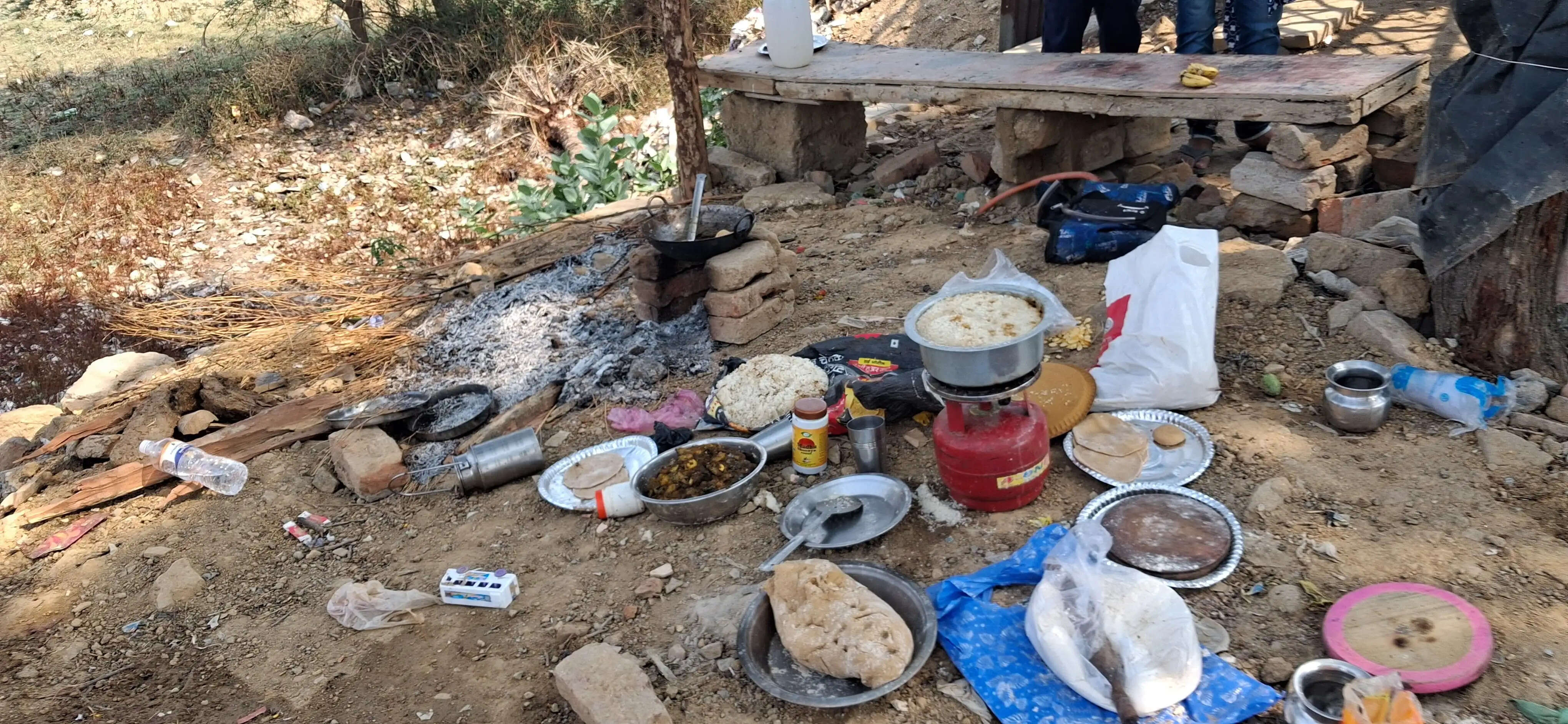खाना बनाते समय मधुमक्खियों के हमले से आठ श्रद्धालु घायल