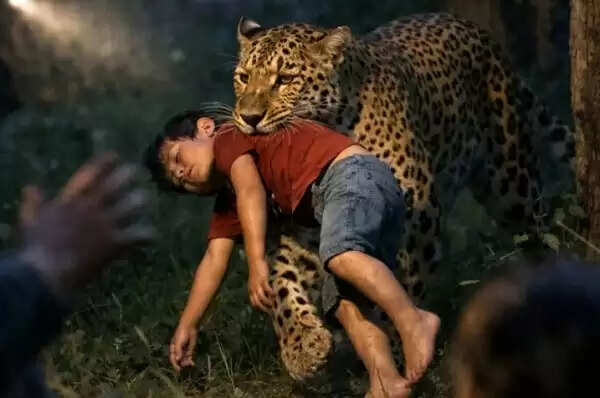 कटनी : तेंदुए के हमले में 10 वर्षीय मासूम की मौत, जंगल से शव बरामद