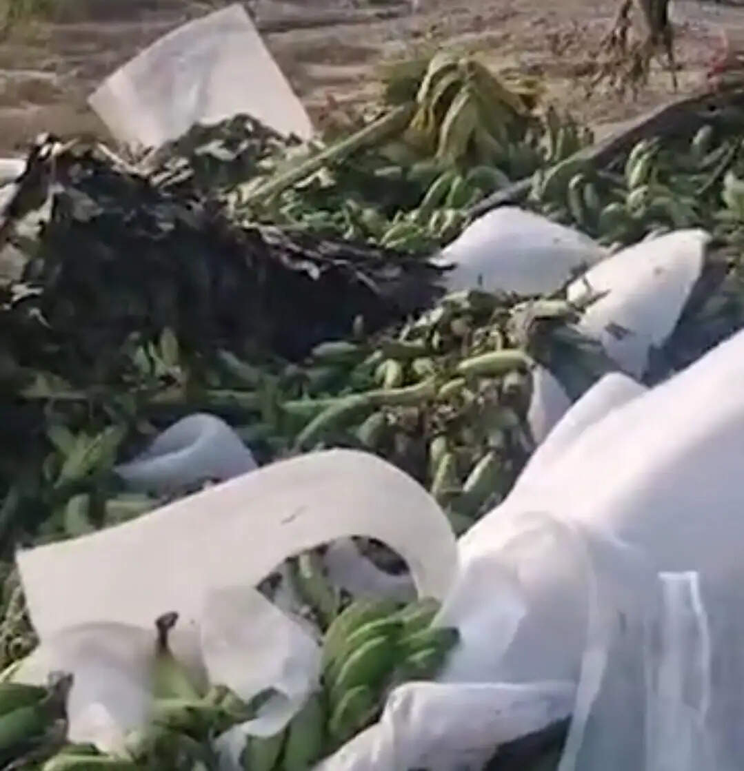 कैथल: खरक पांडवा के पास भीषण हादसे में खुला नशा तस्करी का राज