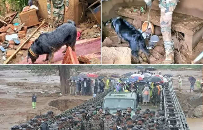 वायनाड में सेना ने प्रशिक्षित कुत्तों की मदद से शुरू की मलबे में 'जिंदगी' की तलाश