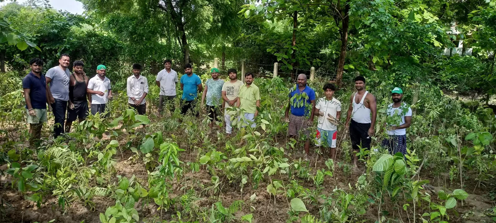 पर्यावरण संरक्षण की दिशा में पहल, चौबेपुर में गंगा के तट पर रोपा गया मियावाकी वन