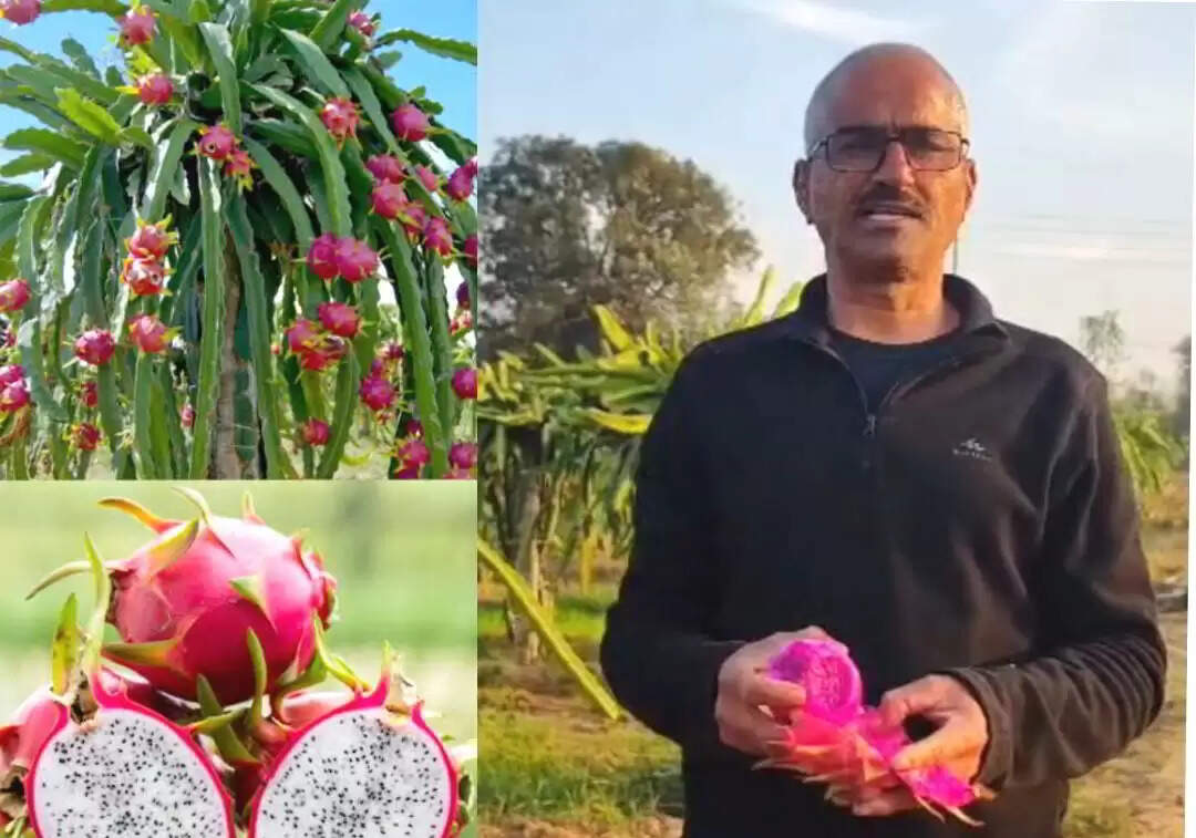 सेवानिवृत्त शिक्षक जीवन सिंह राणा ने रची सफलता की नई इबारत