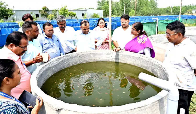 जिलाधिकारी ने मत्स्य क्लस्टर का किया निरीक्षण,रंगीन मत्स्य पालन को बढ़ावा