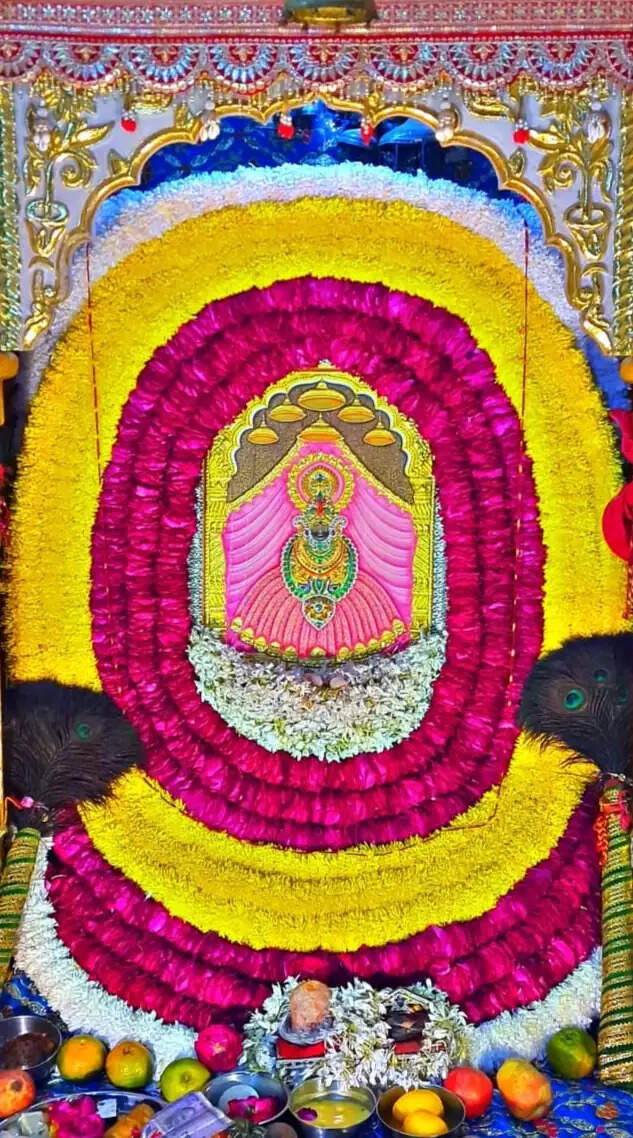 जयपुर में सजेगा श्याम प्रभु का दरबार: 22 से 30 अगस्त तक होंगे झूला महोत्सव