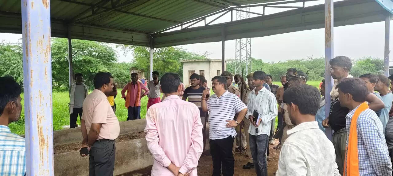 सड़क किनारे बैठे गौवंशों को अज्ञात वाहन ने कुचला, दो गायों की मौत